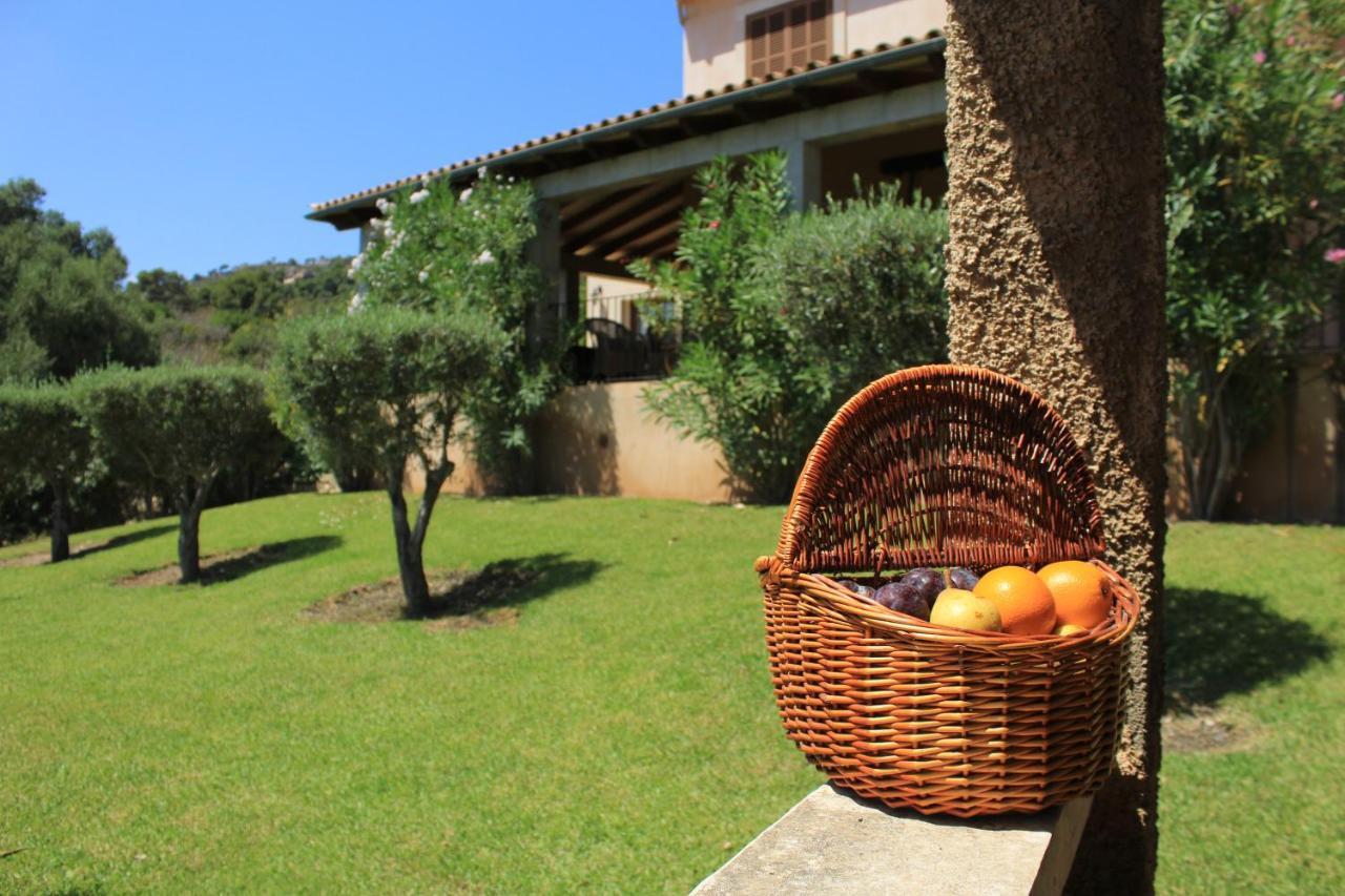 Sa Sinia - Family Rural House With Pool And Mountain Views *
